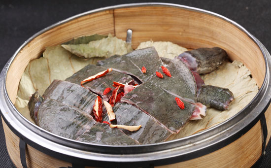 甲鱼