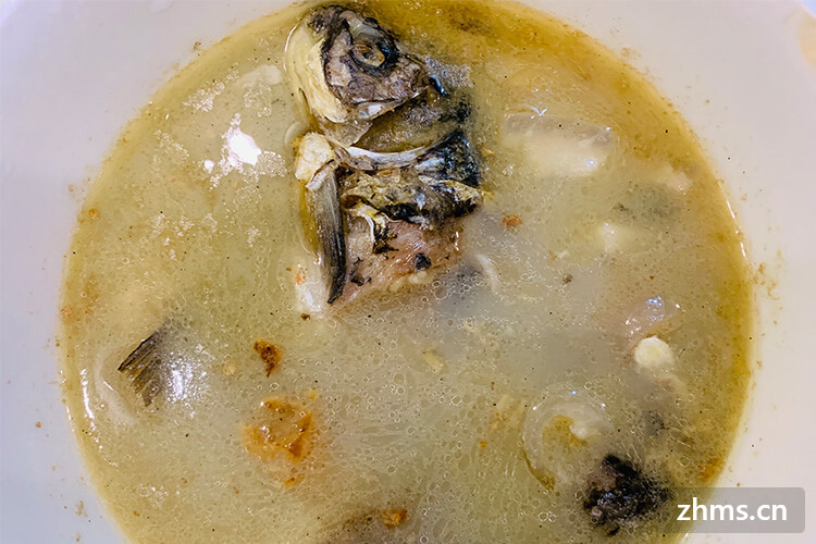 水鱼汤的做法