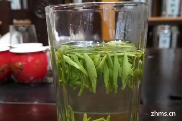 银针茶